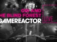 Mira cómo jugamos en directo a Ori and the Blind Forest