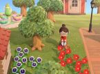Prepárate para el Día de la Tierra en Animal Crossing Switch