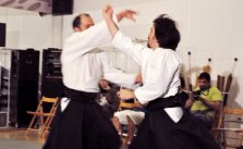 Dead or Alive: Dimensions y el Aikido